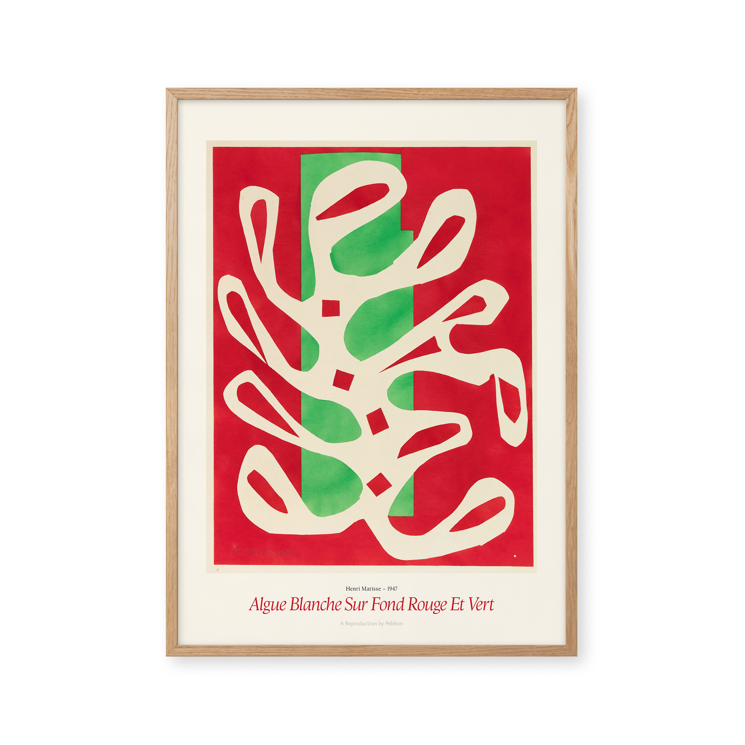 White Algae on Red and Green Background