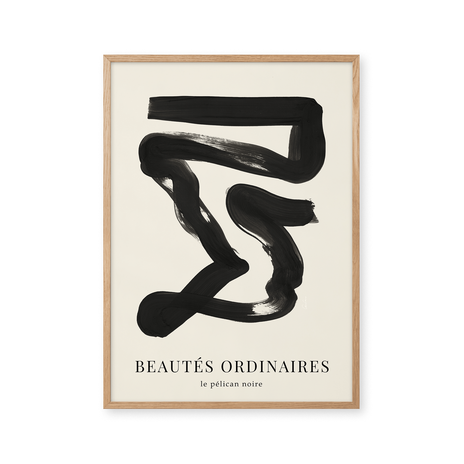 Beautes Ordinaires - Le pélican noir
