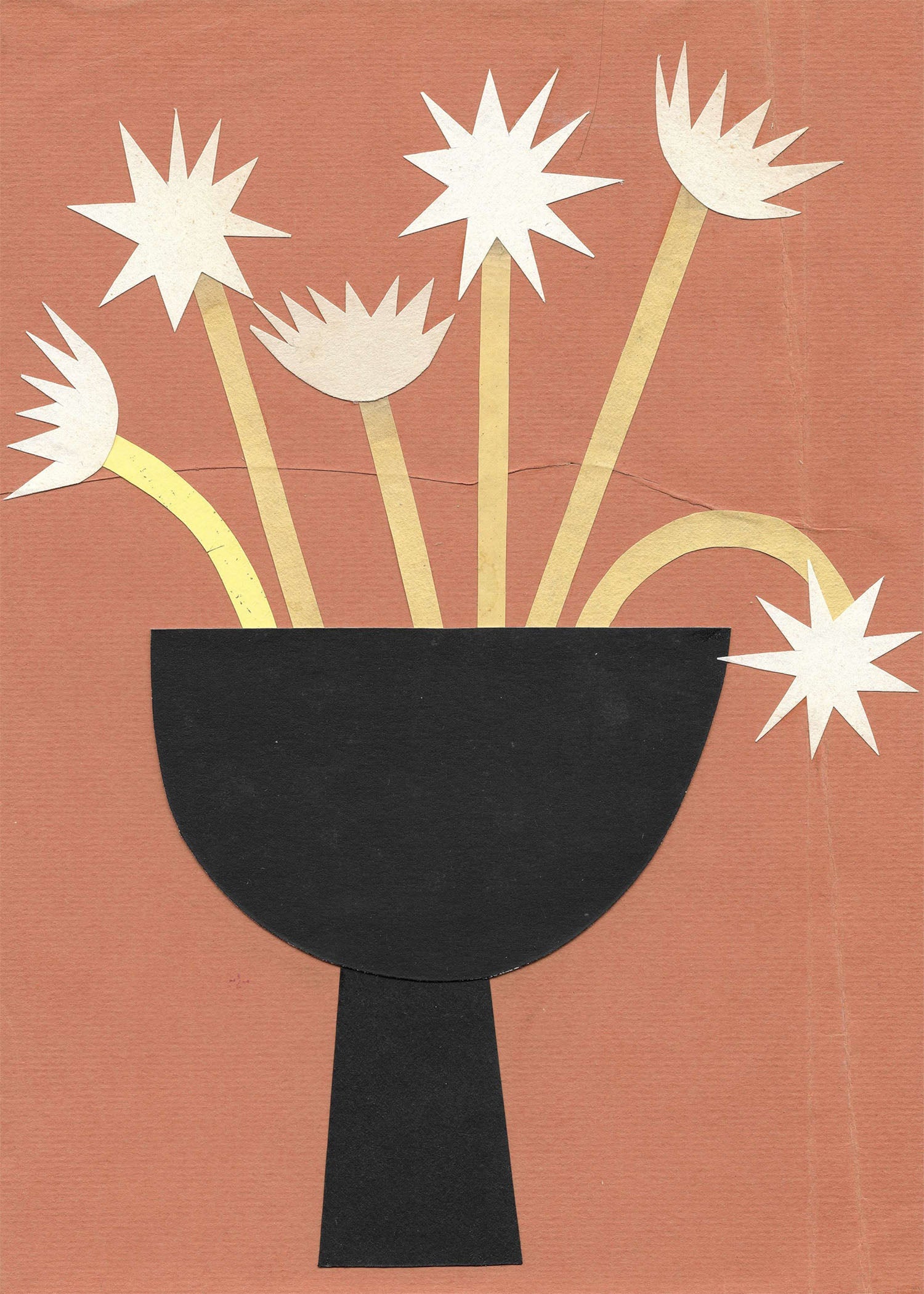 Black Bowl of Star Shaped Flowers