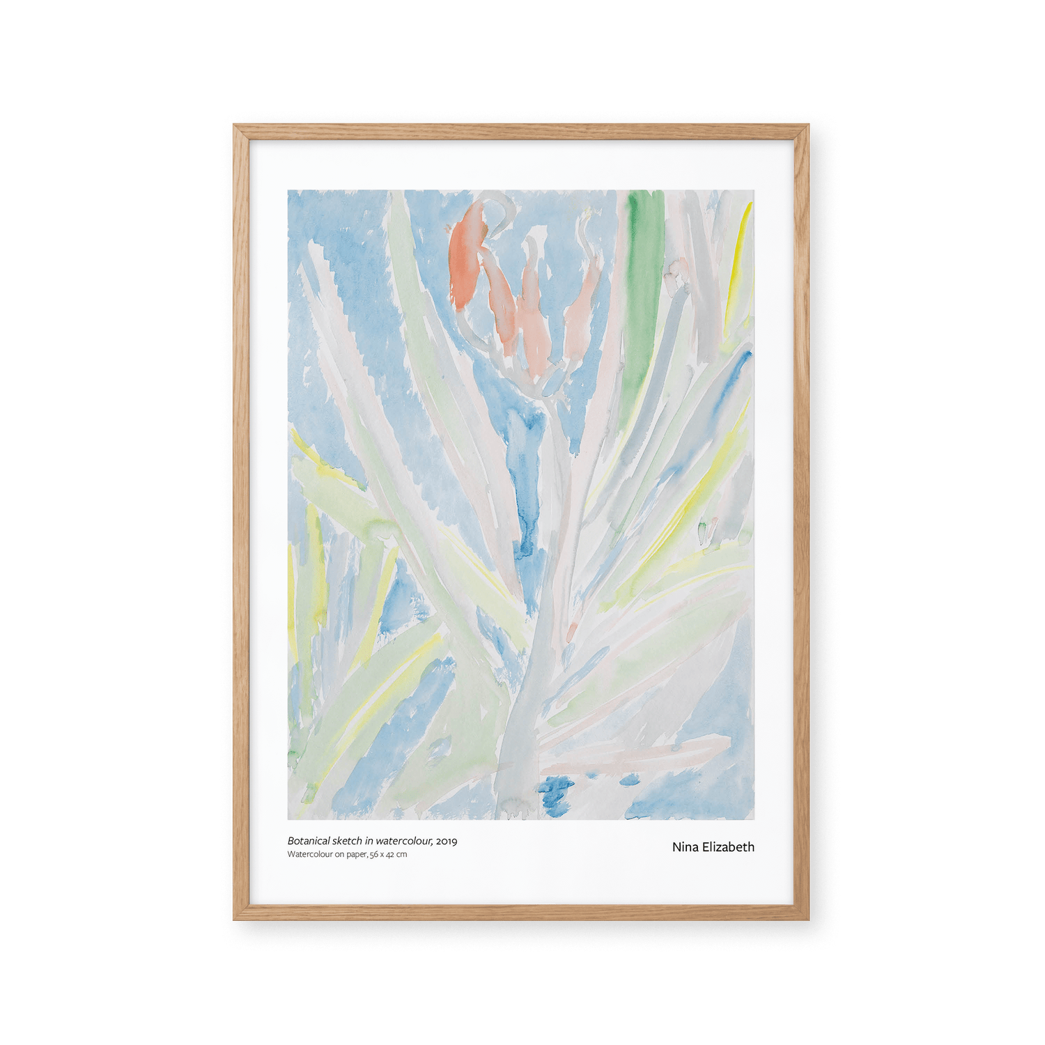 Botanical sketch in watercolour