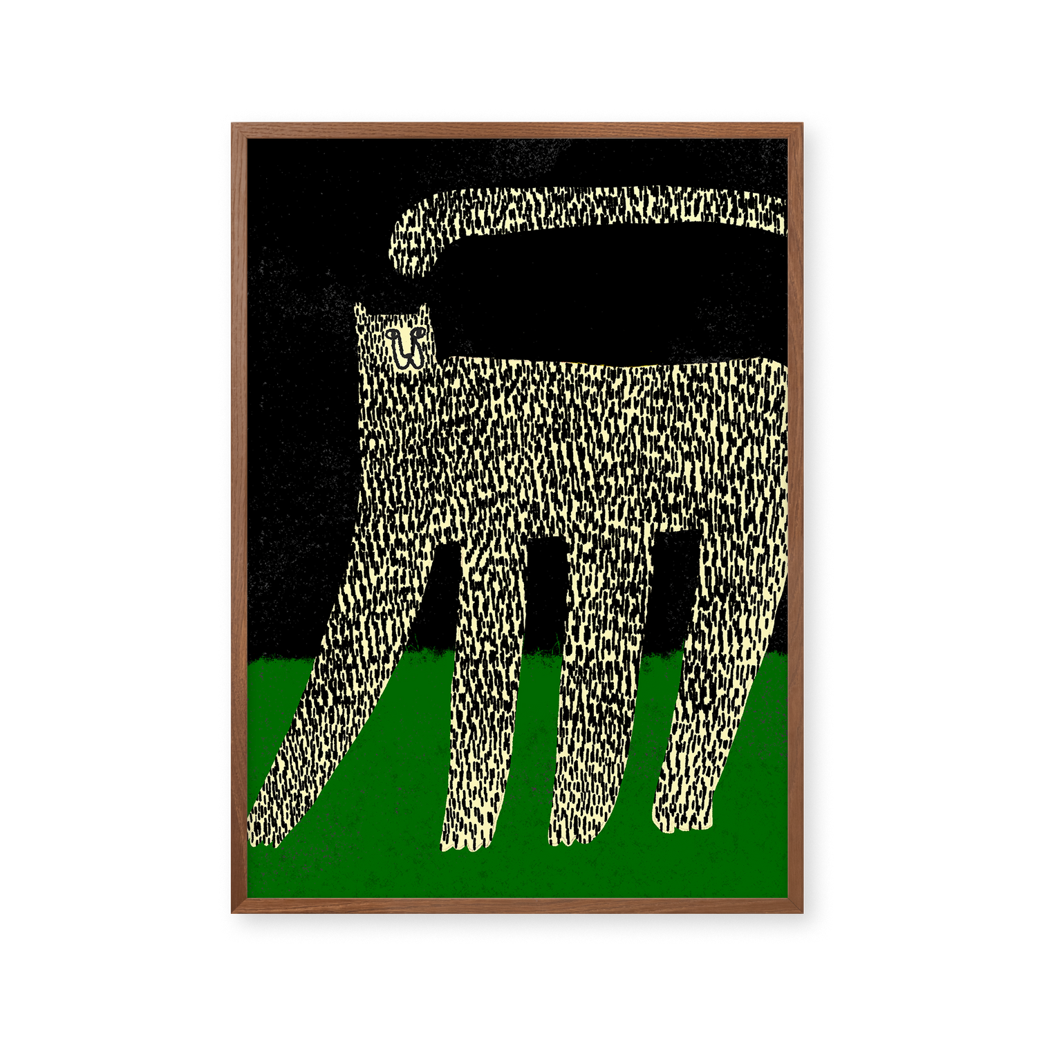 Cheetah