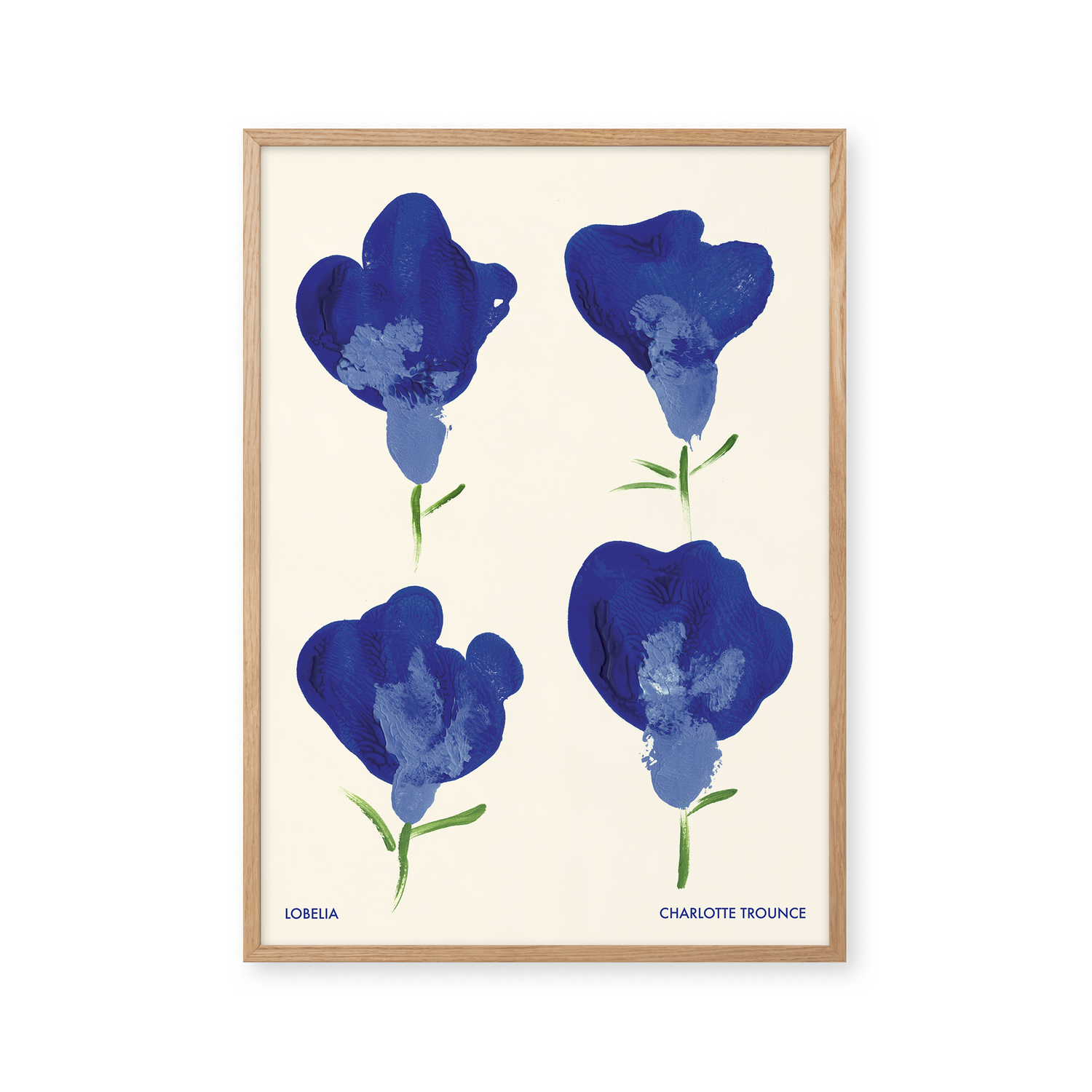 Lobelia