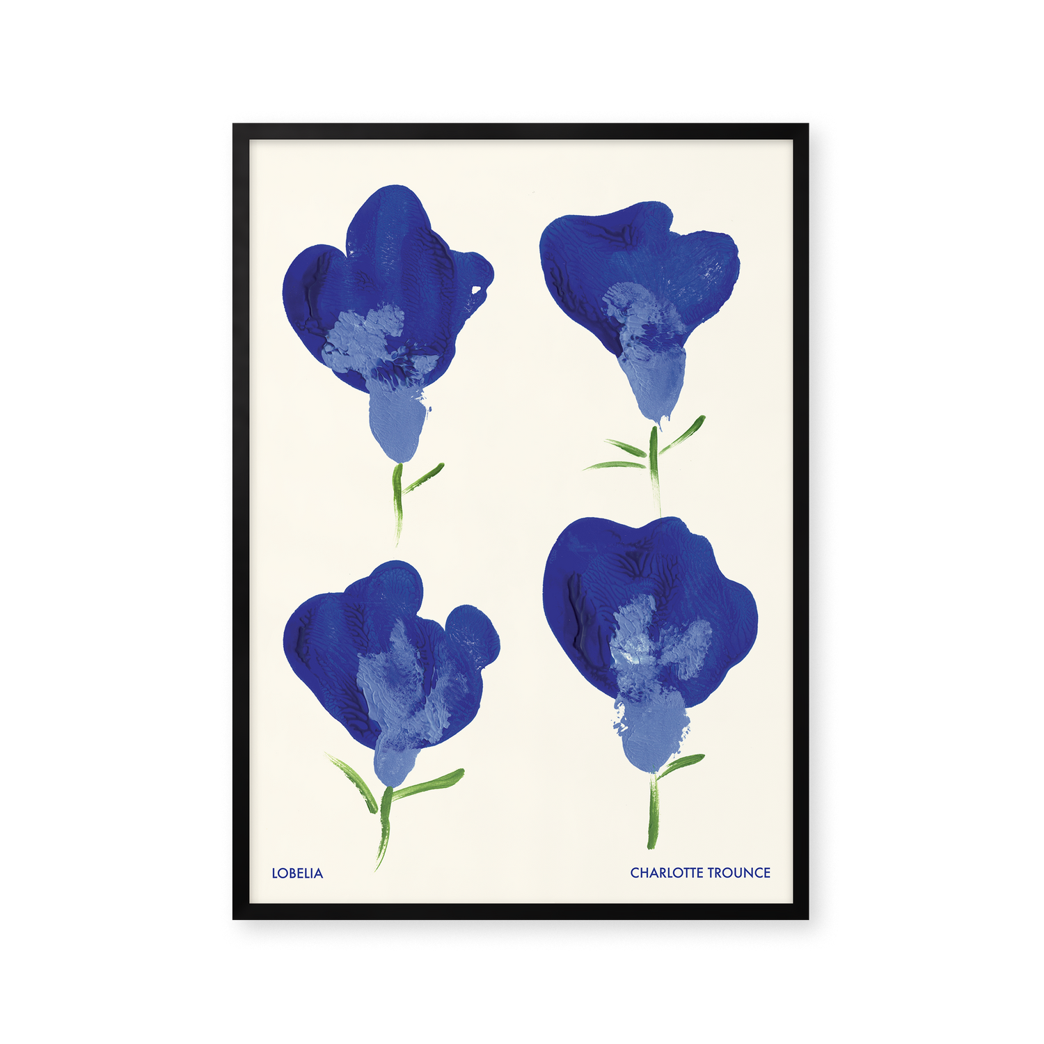 Lobelia