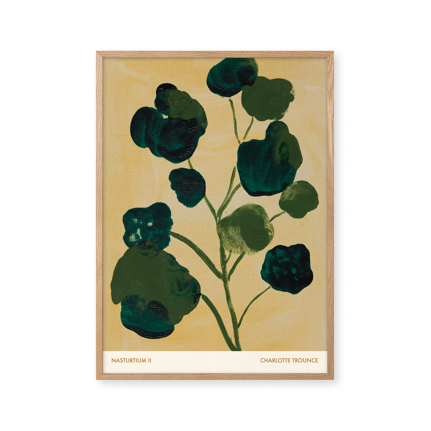 Nasturtium II