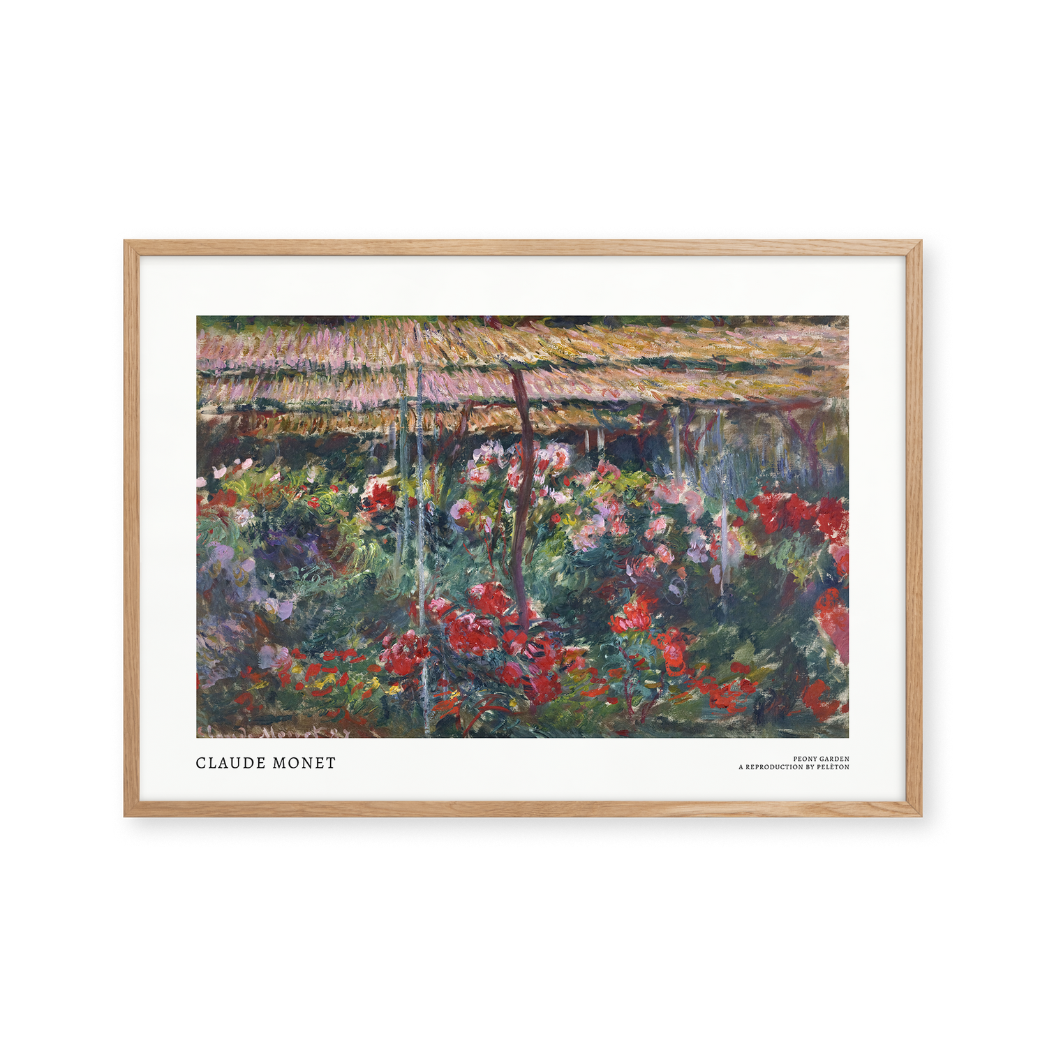 Peony Garden