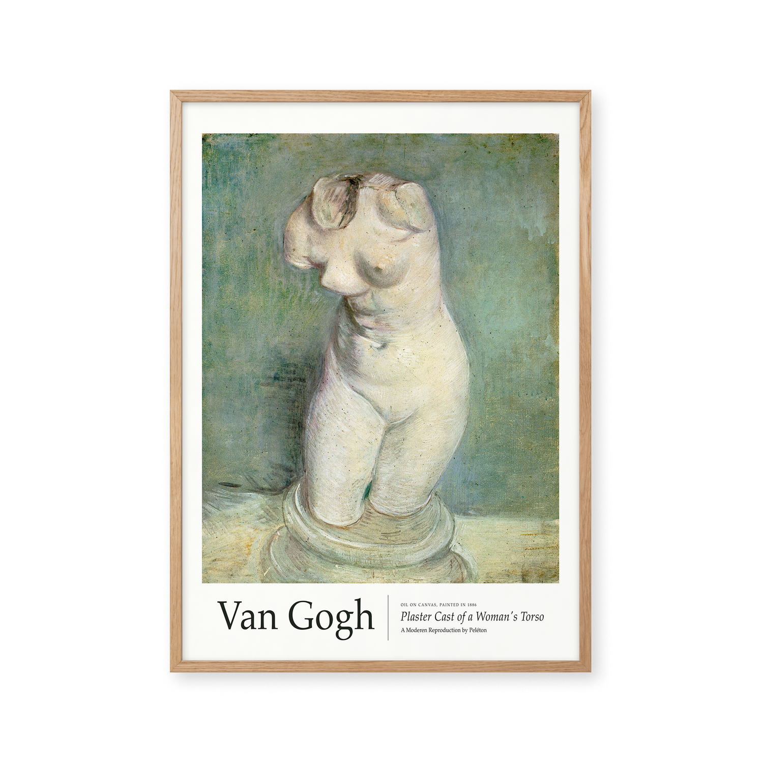 Plaster Cast of a Woman's Torso