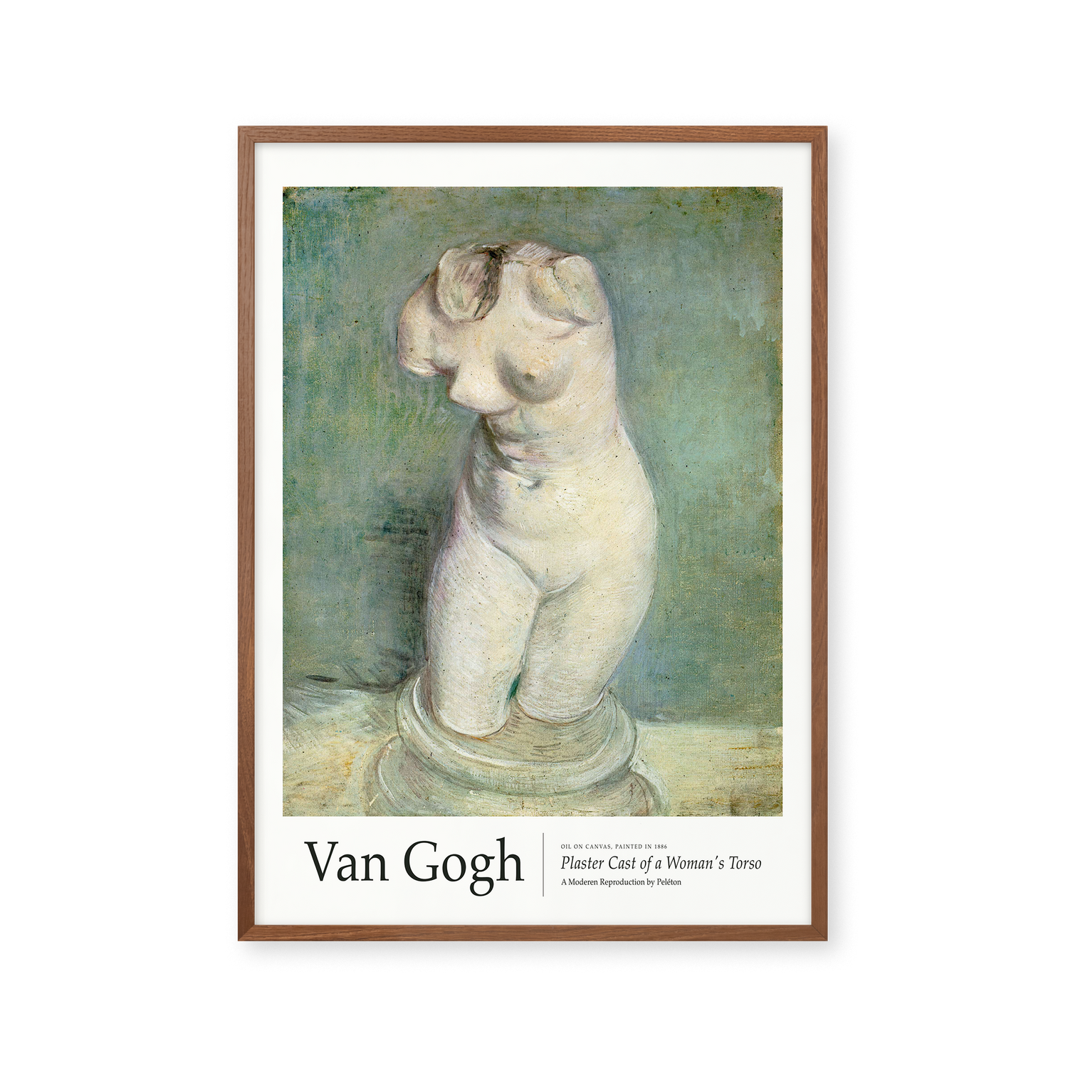 Plaster Cast of a Woman's Torso