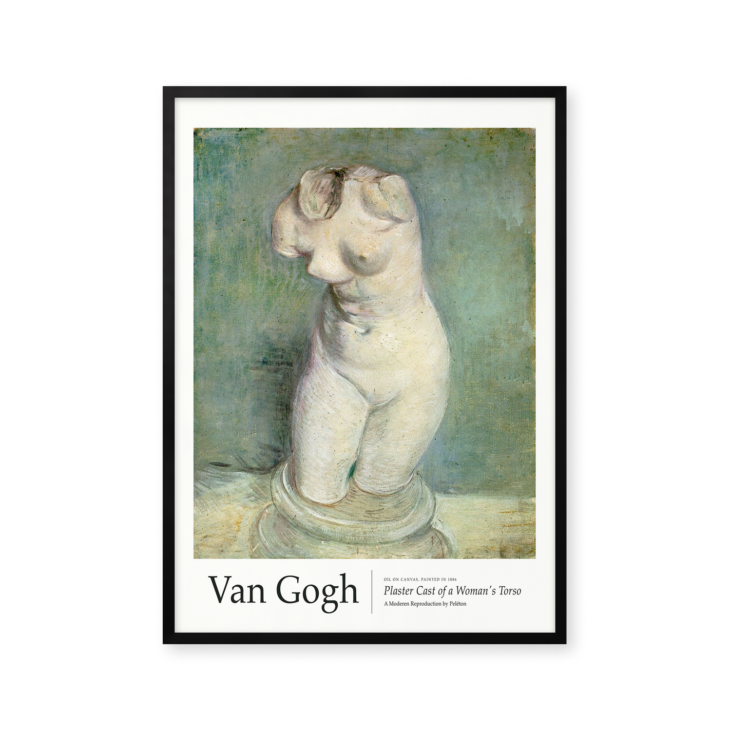 Plaster Cast of a Woman's Torso