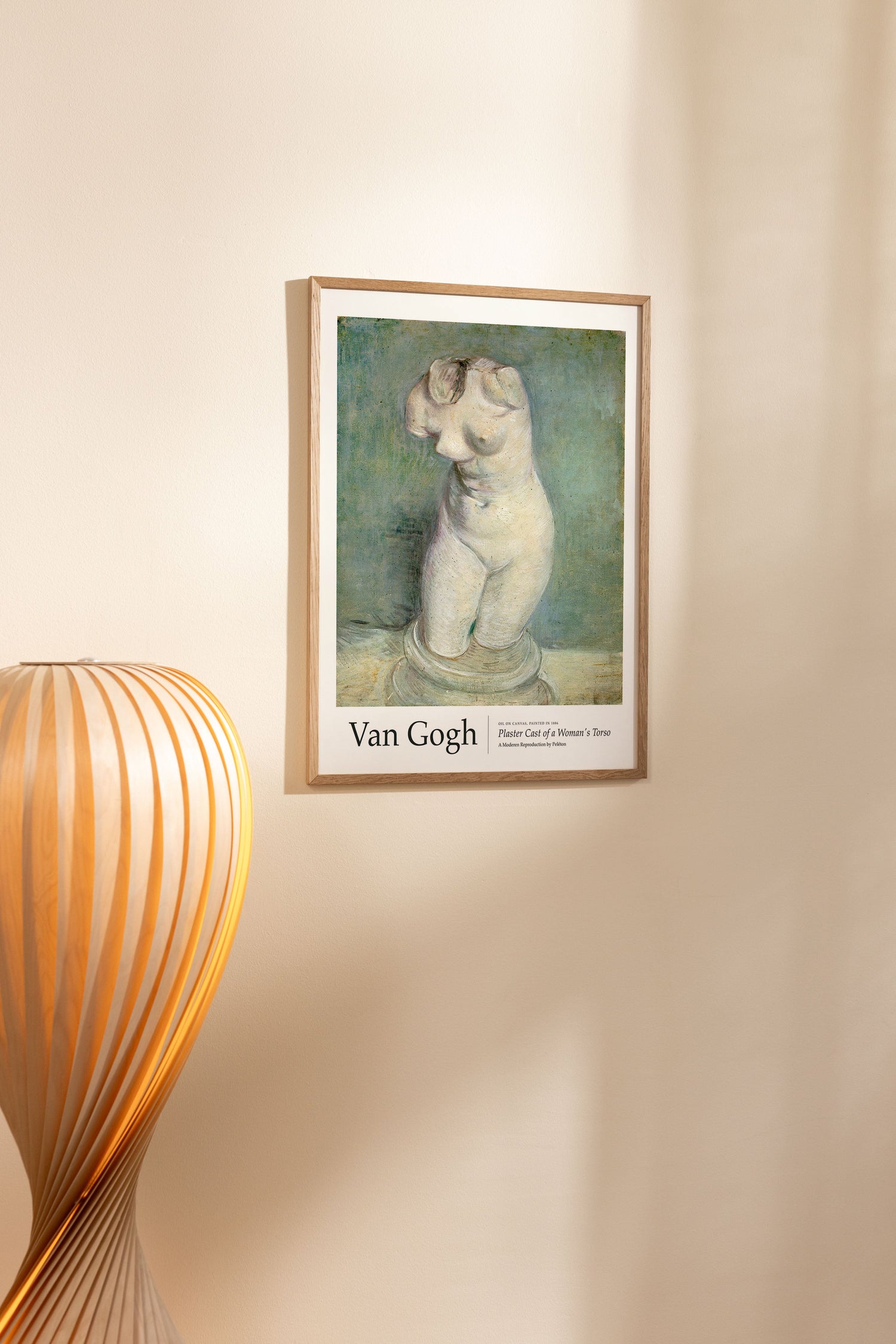 Plaster Cast of a Woman's Torso