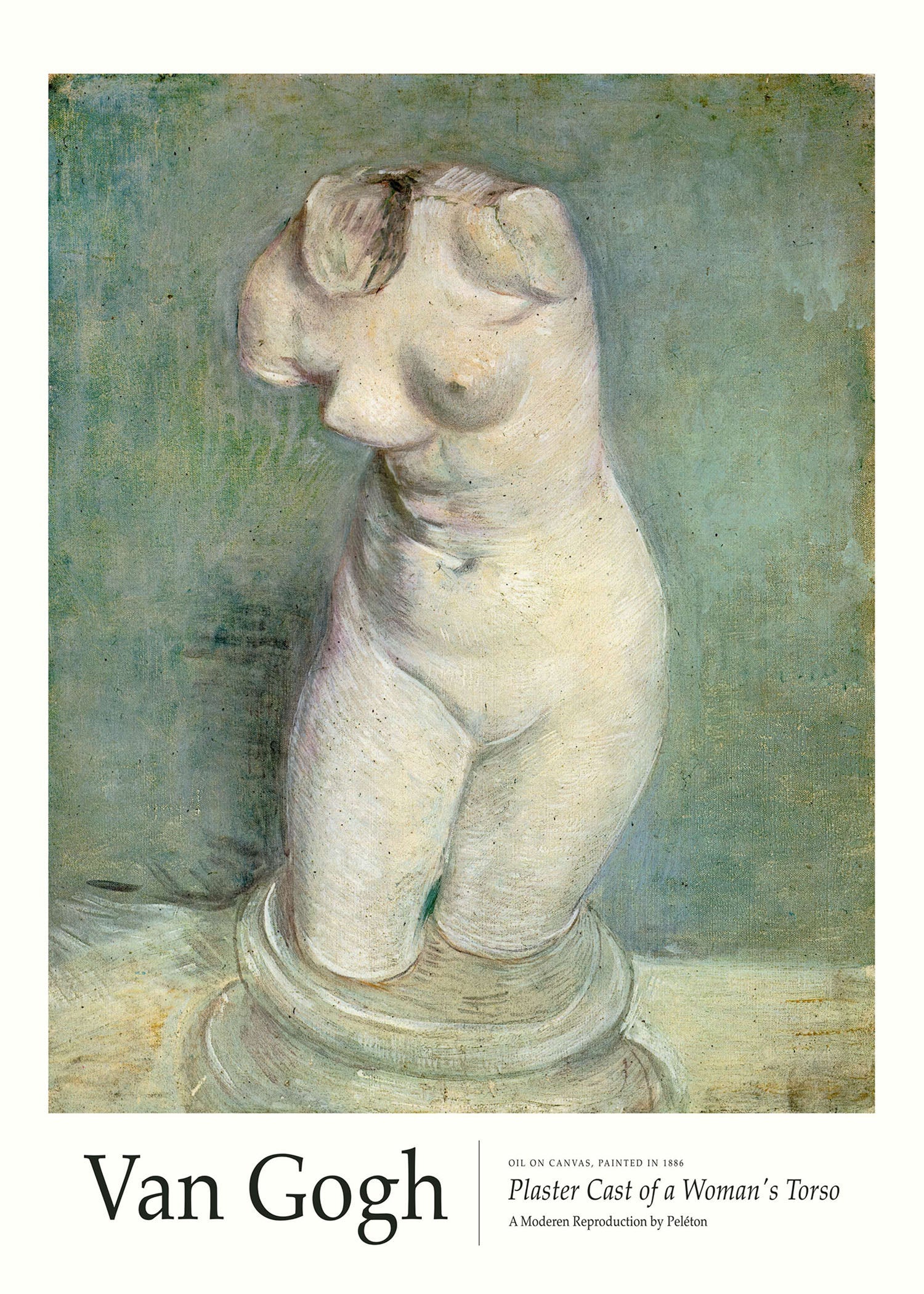 Plaster Cast of a Woman's Torso