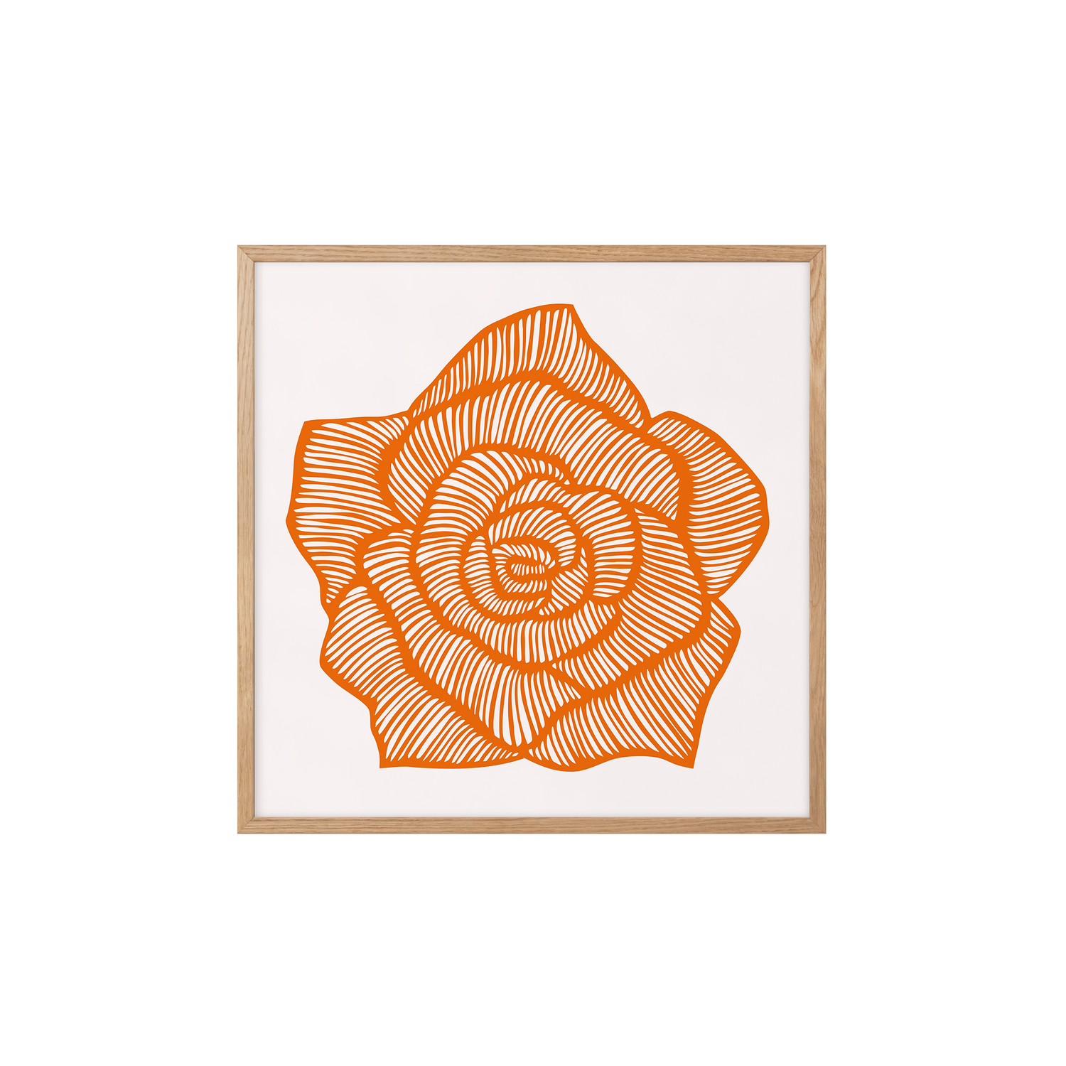 Rose – Orange