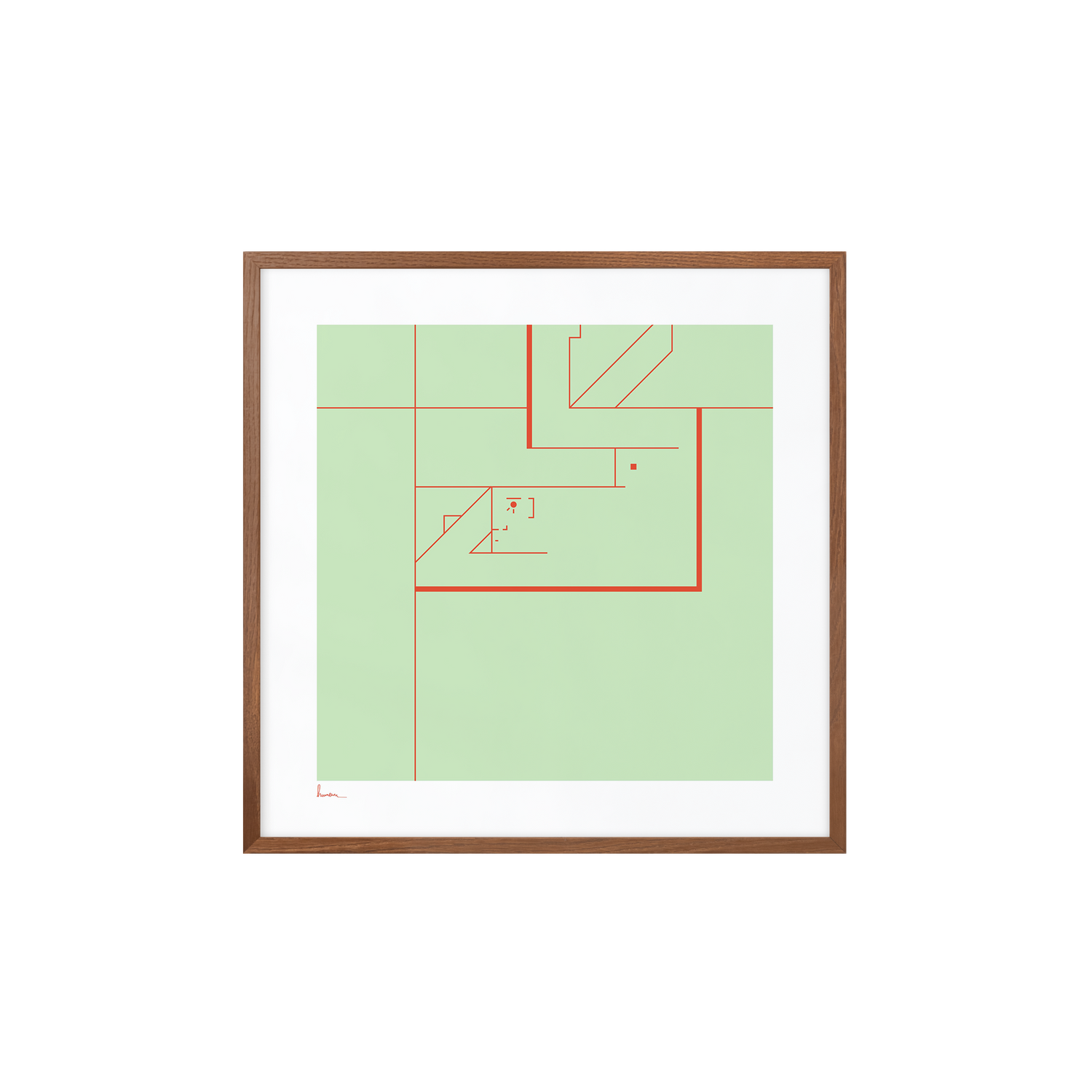 Spectator