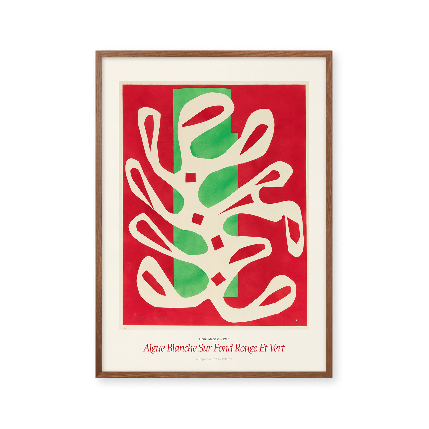 Algue Blanche Sur Fond Rouge Et Vert