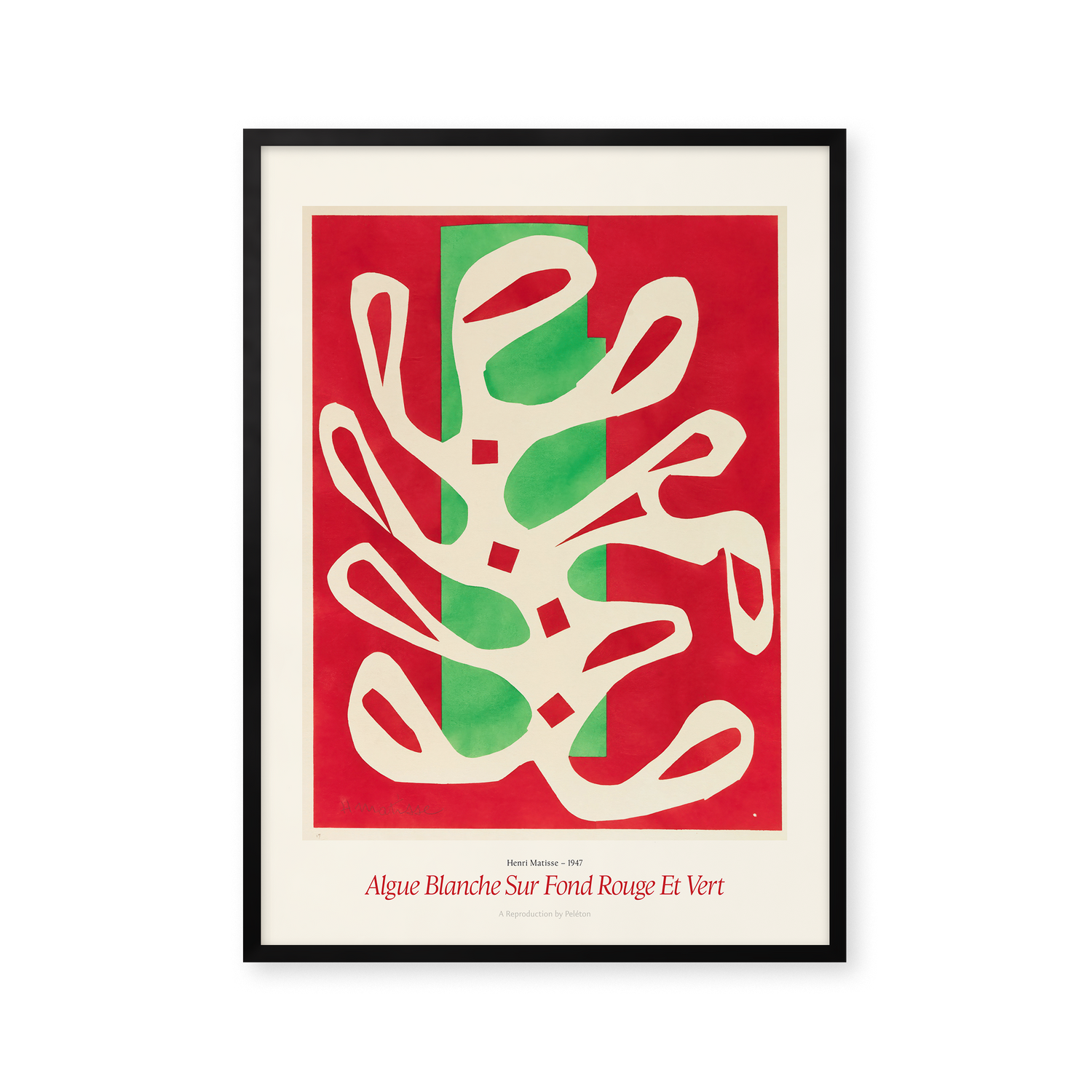 Algue Blanche Sur Fond Rouge Et Vert