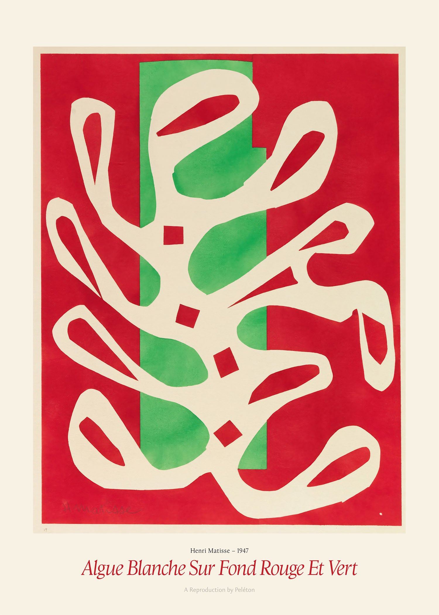 Algue Blanche Sur Fond Rouge Et Vert