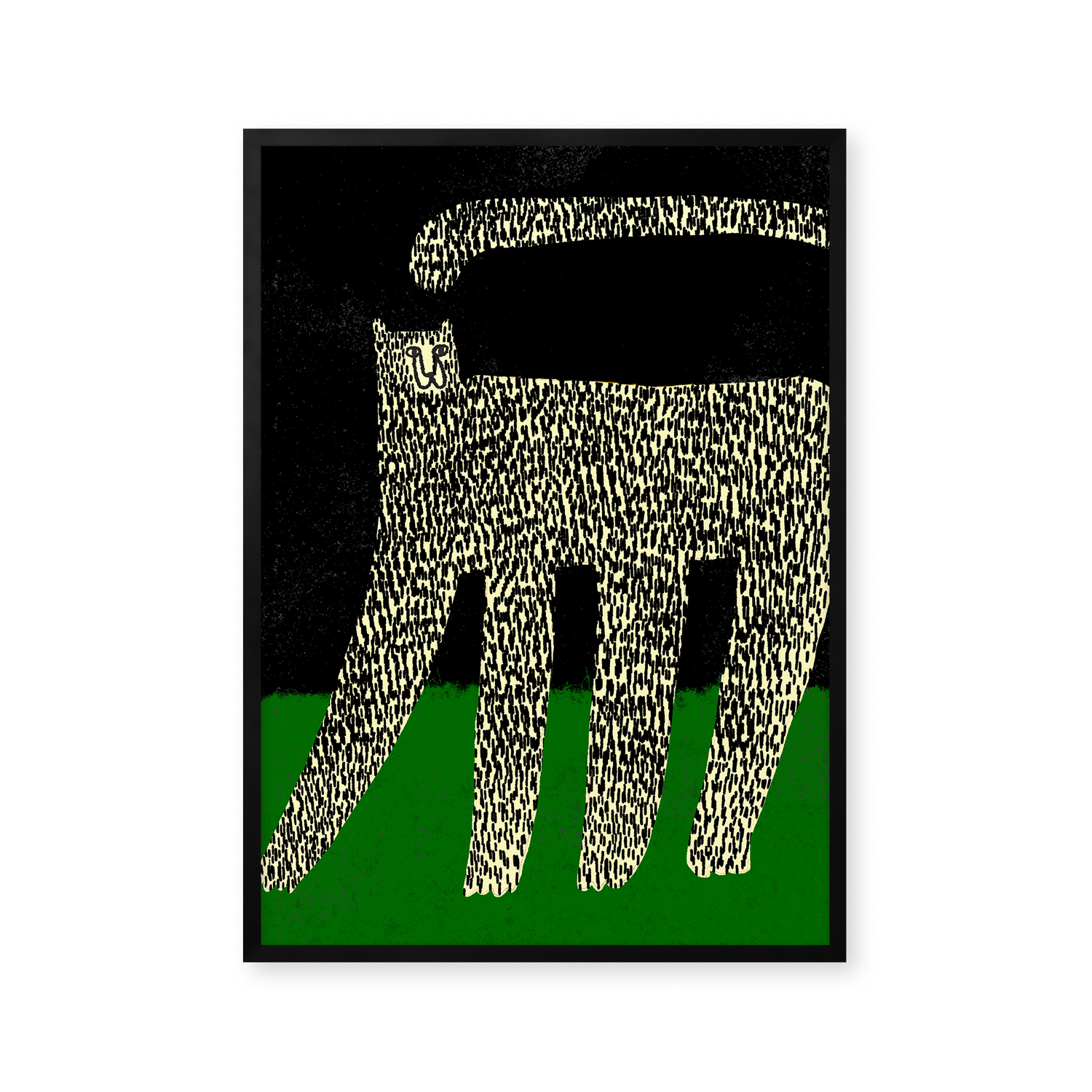 Cheetah