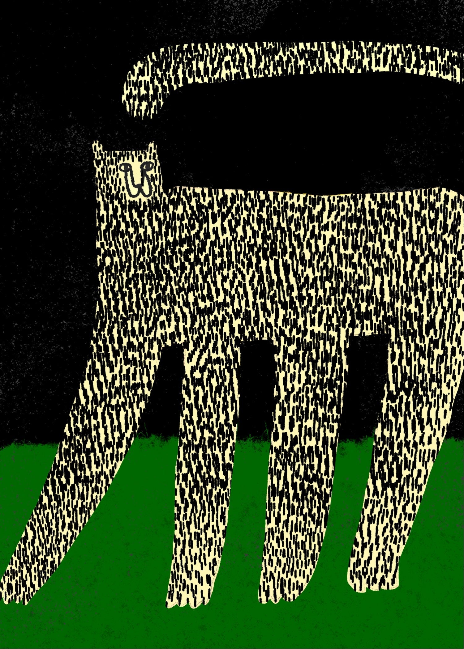 Cheetah