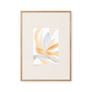 Contour - Orange