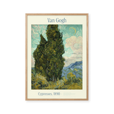 Cypresses
