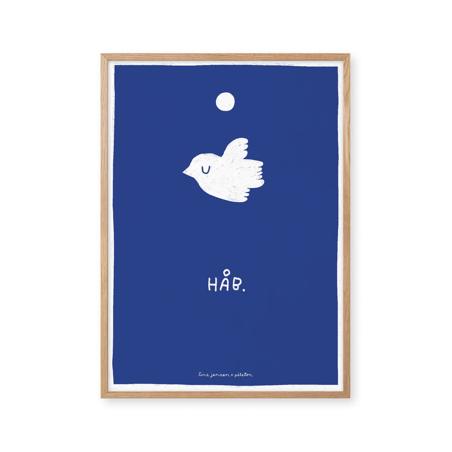 Pigeon - blue