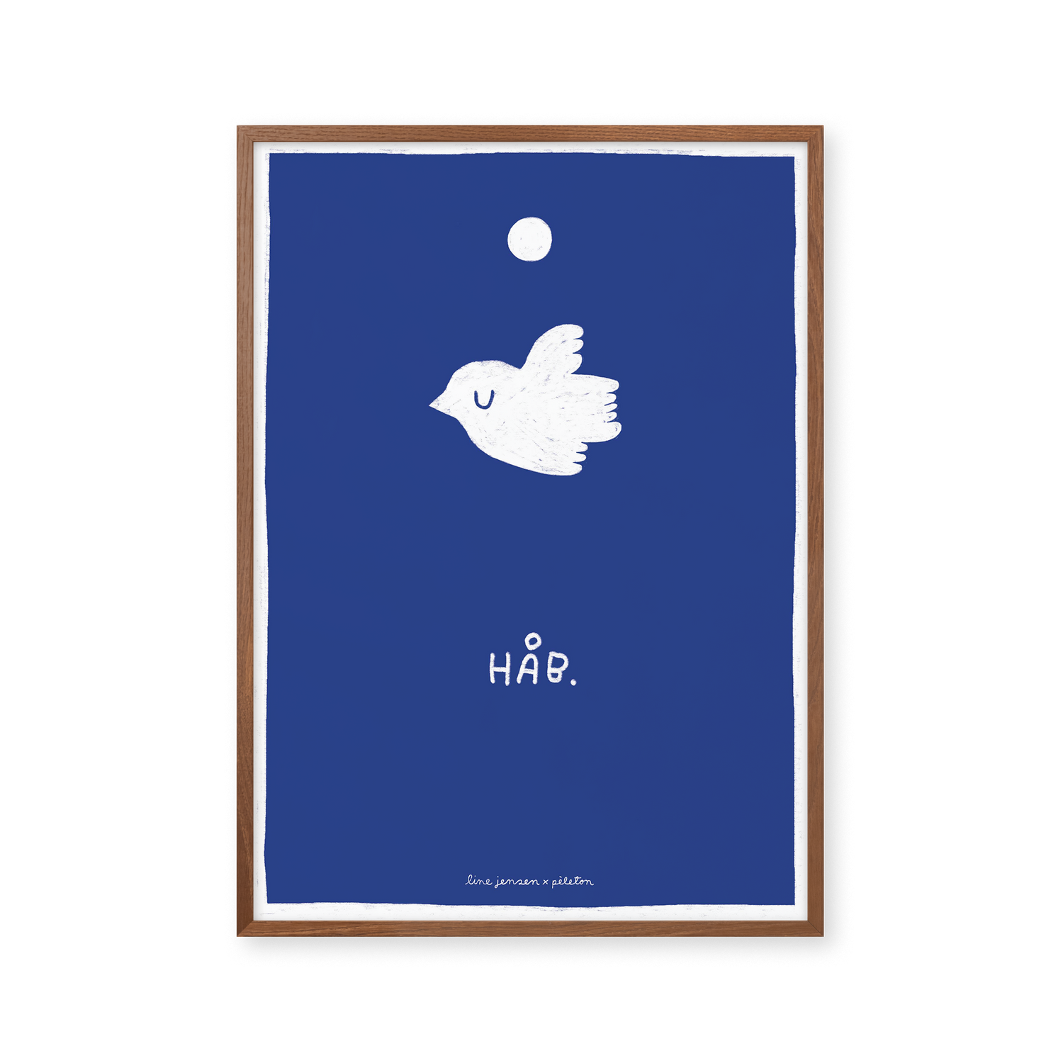 Pigeon - blue