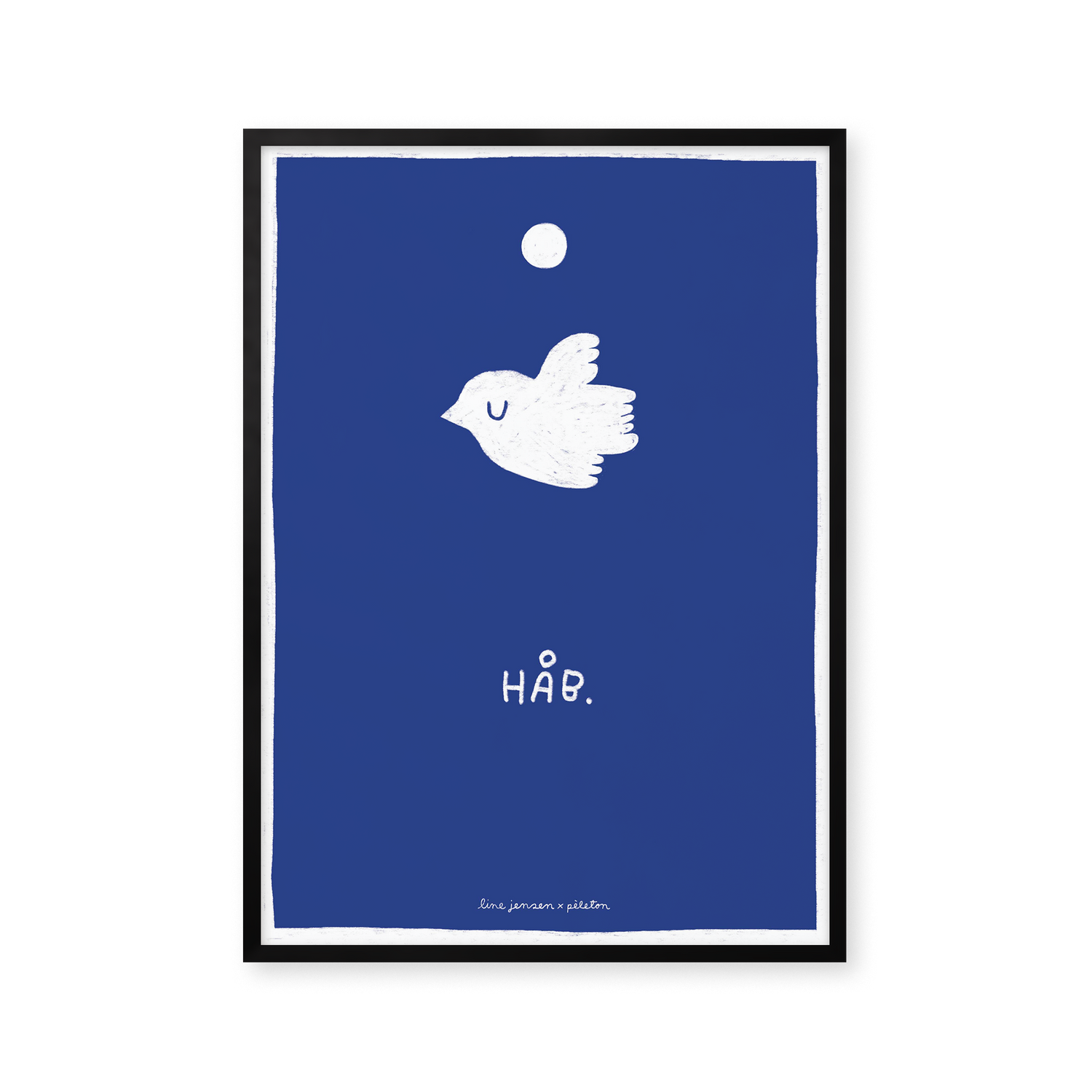 Pigeon - blue