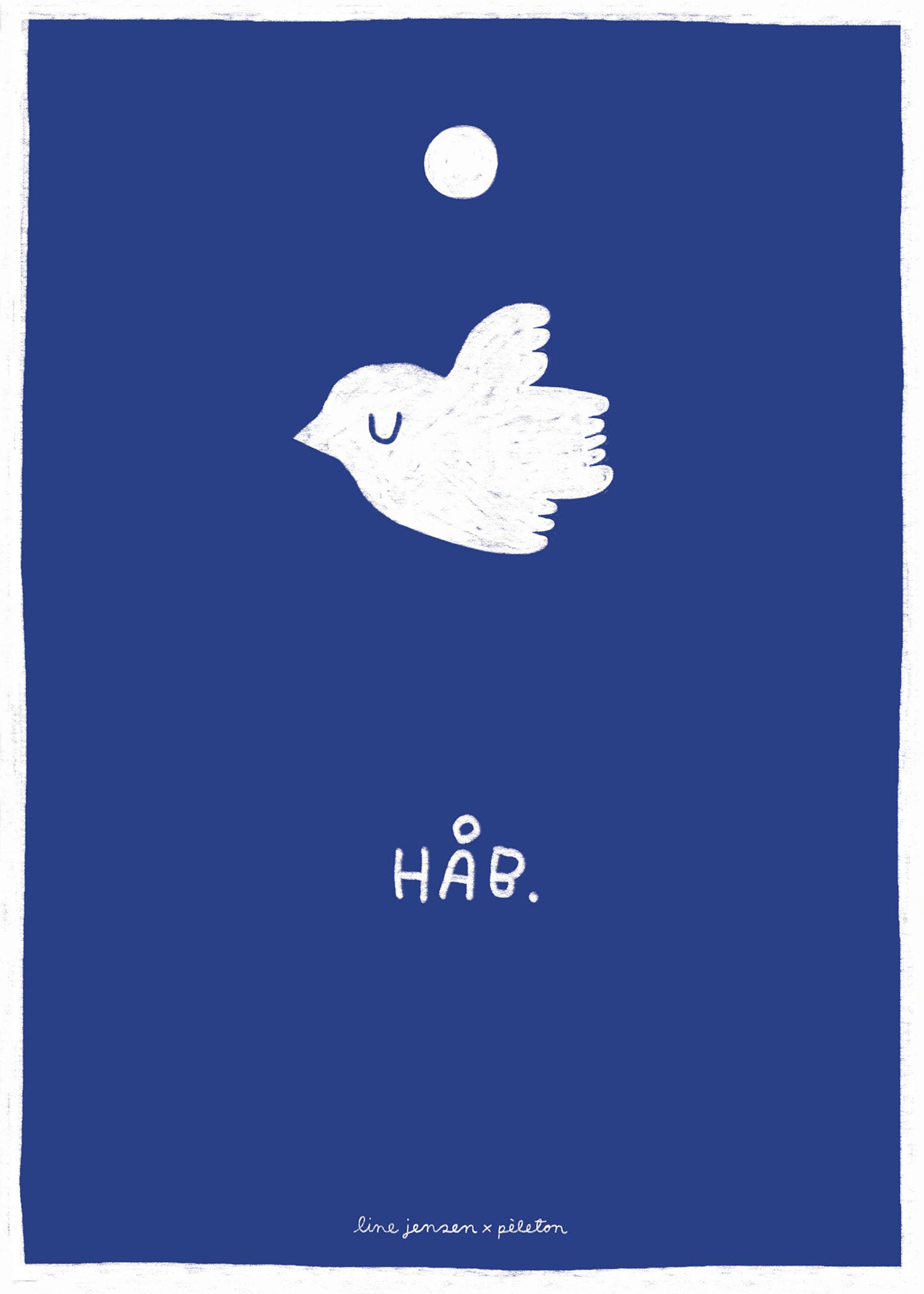 Pigeon - blue