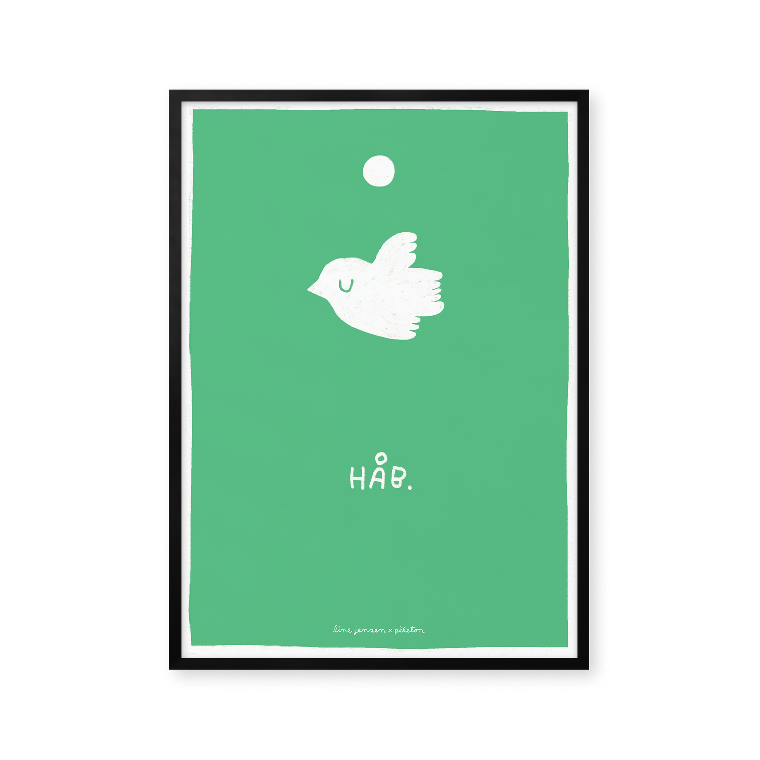 Pigeon - green