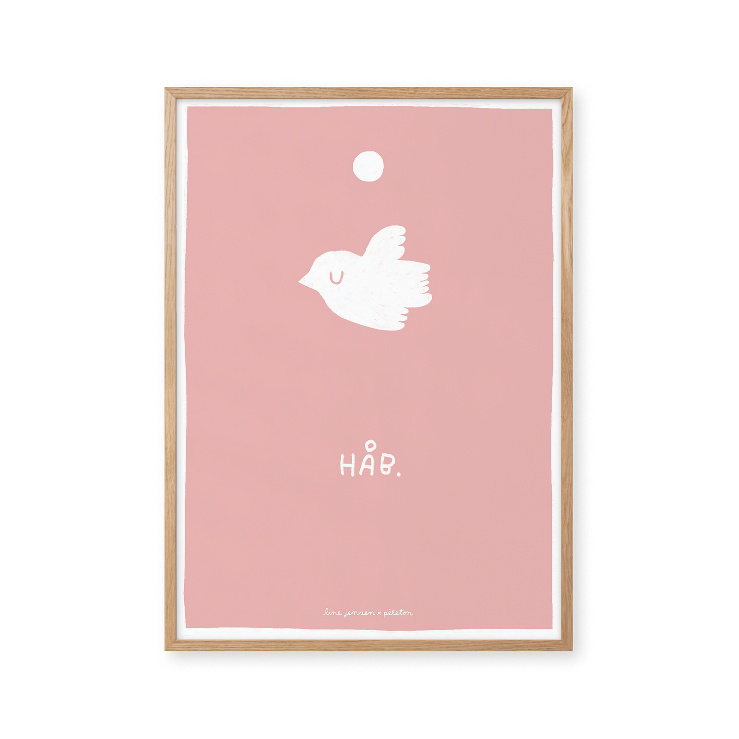Dove - pink