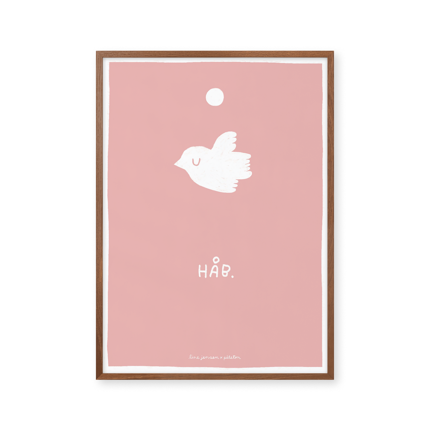 Dove - pink