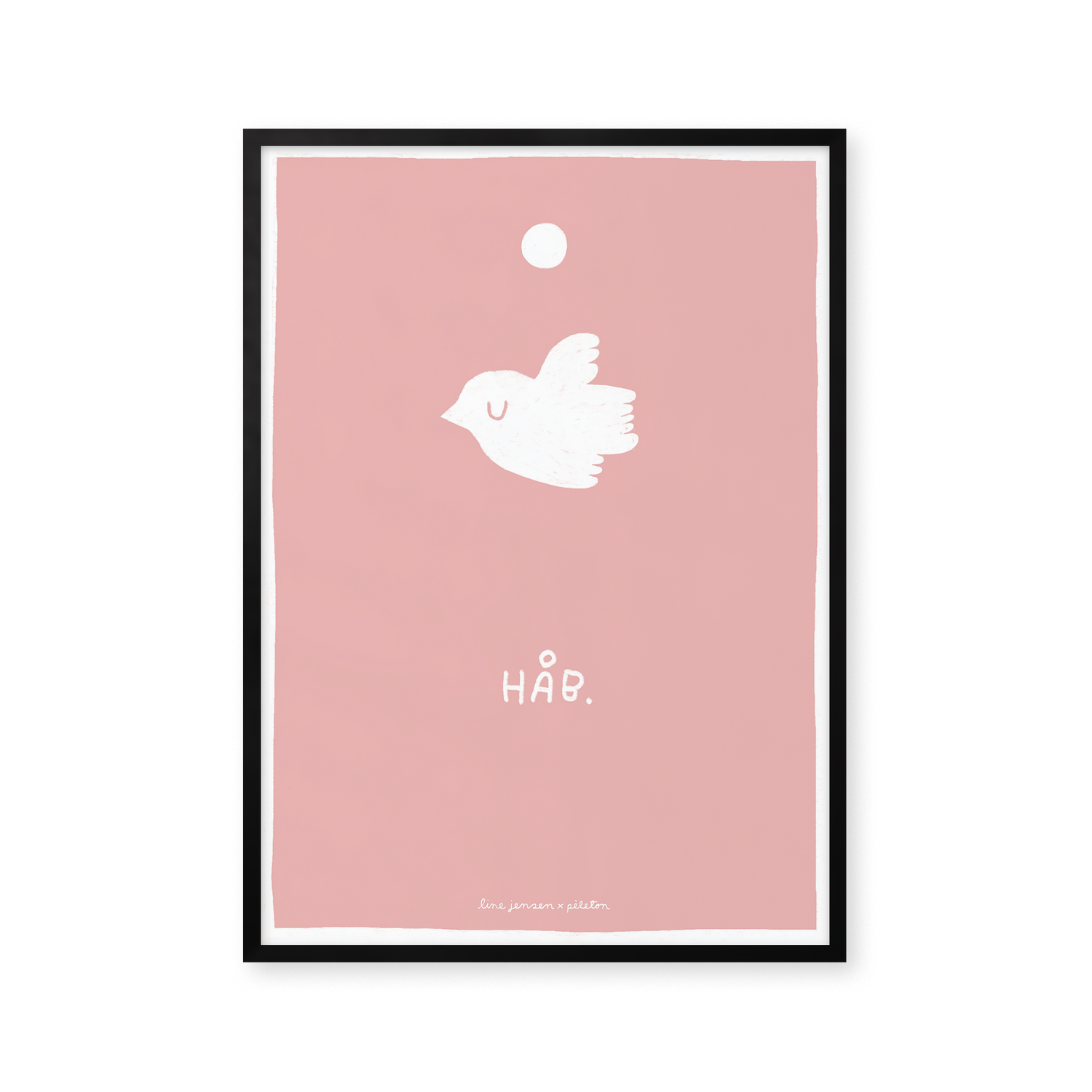 Dove - pink