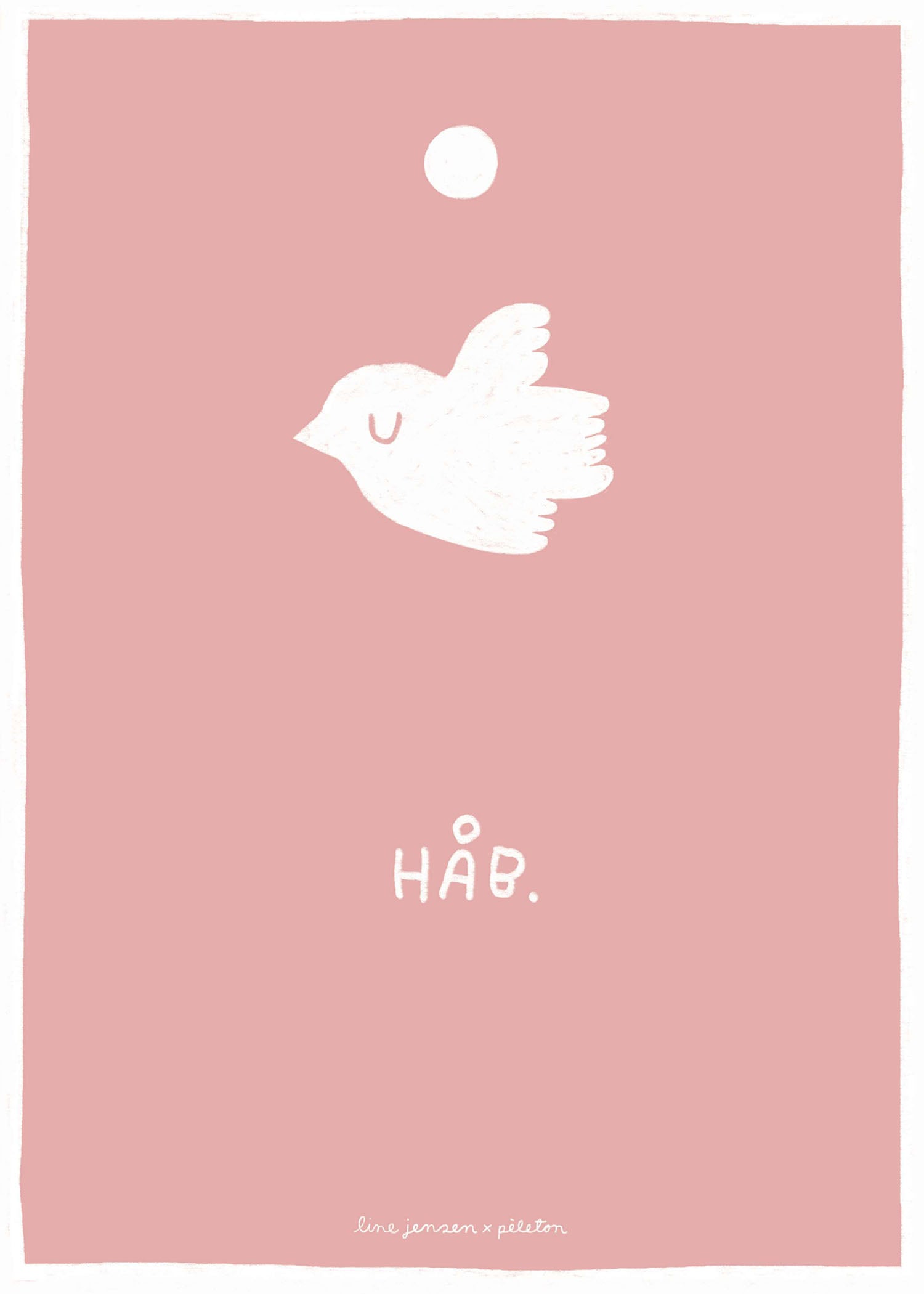 Dove - pink
