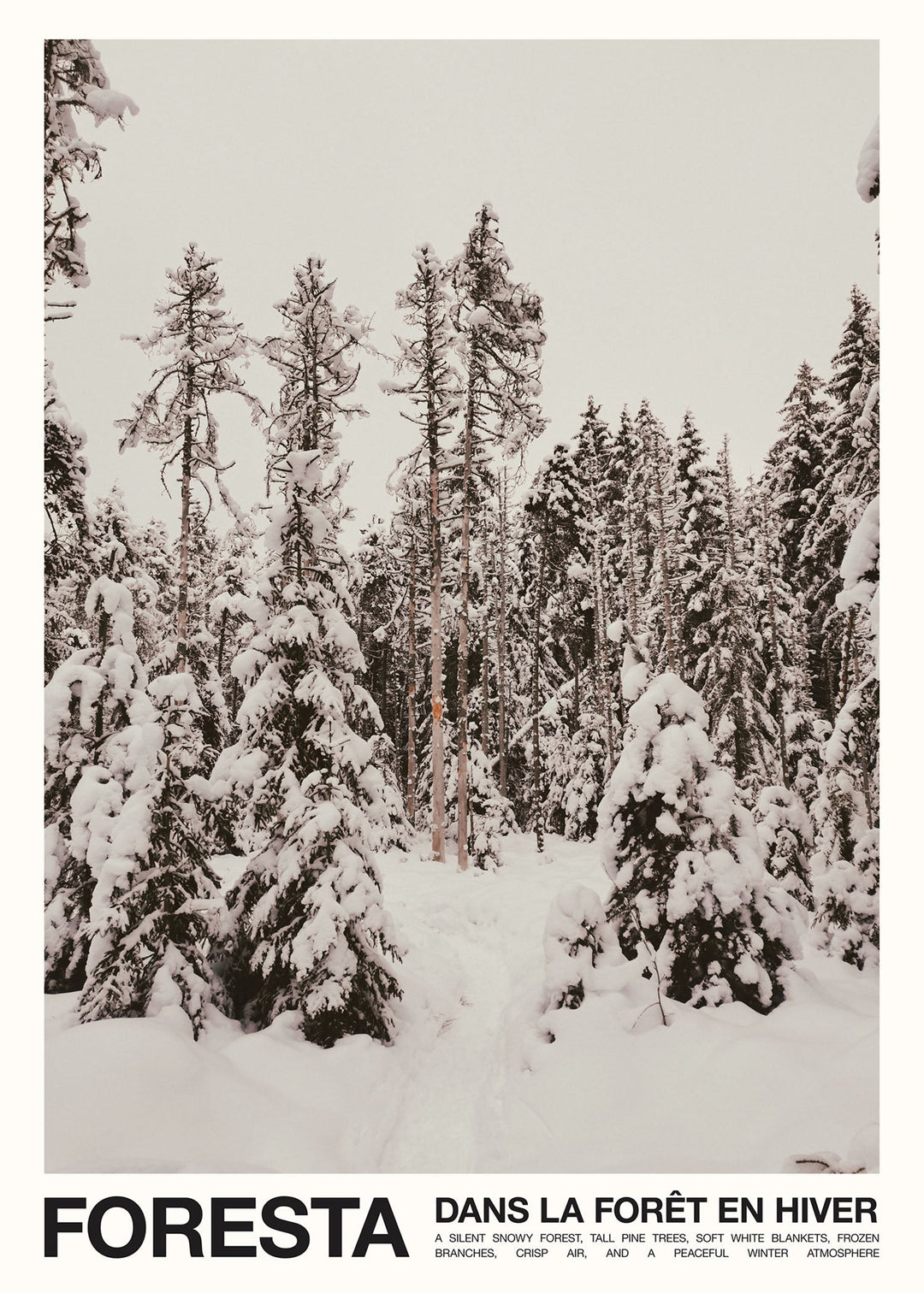 Foresta