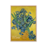 Irises