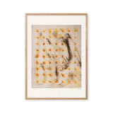 Monotype – Rust Orange