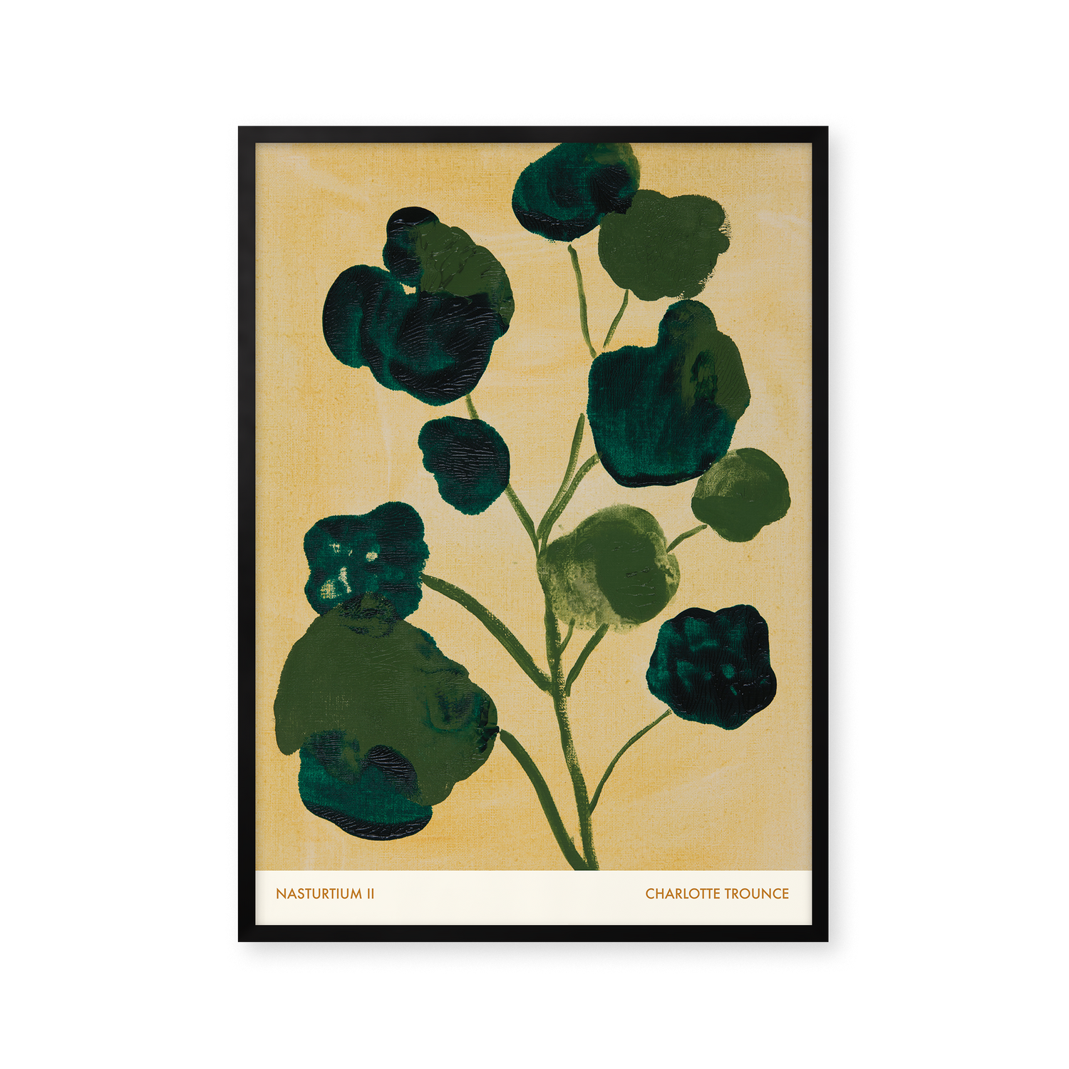 Nasturtium II