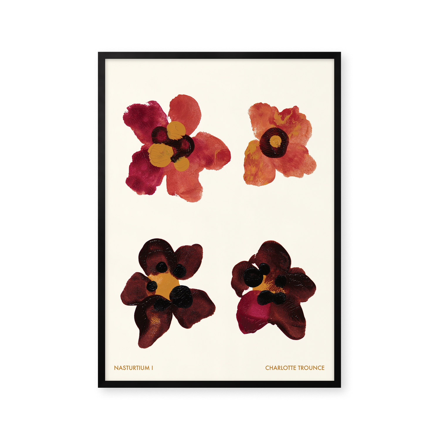 Nasturtium I