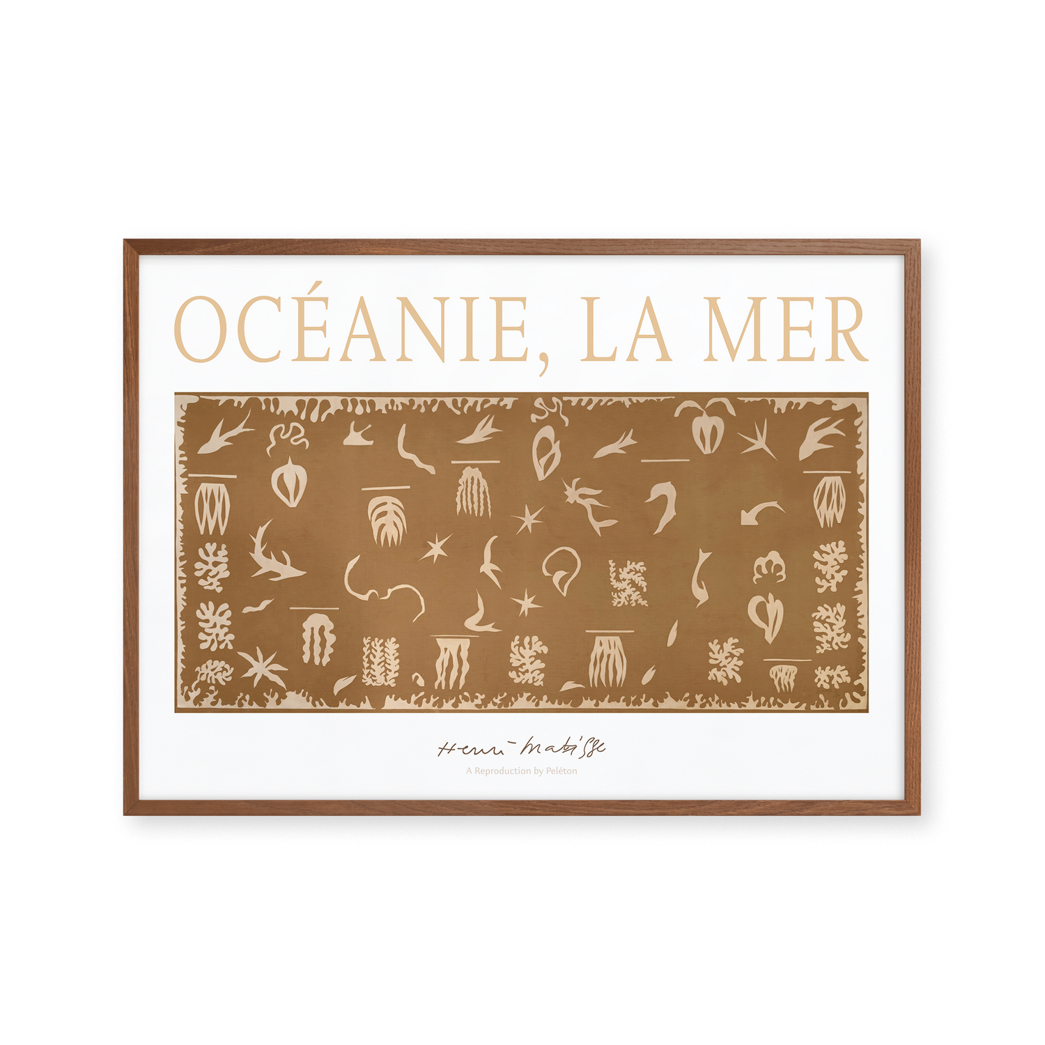 Océanie, la mer