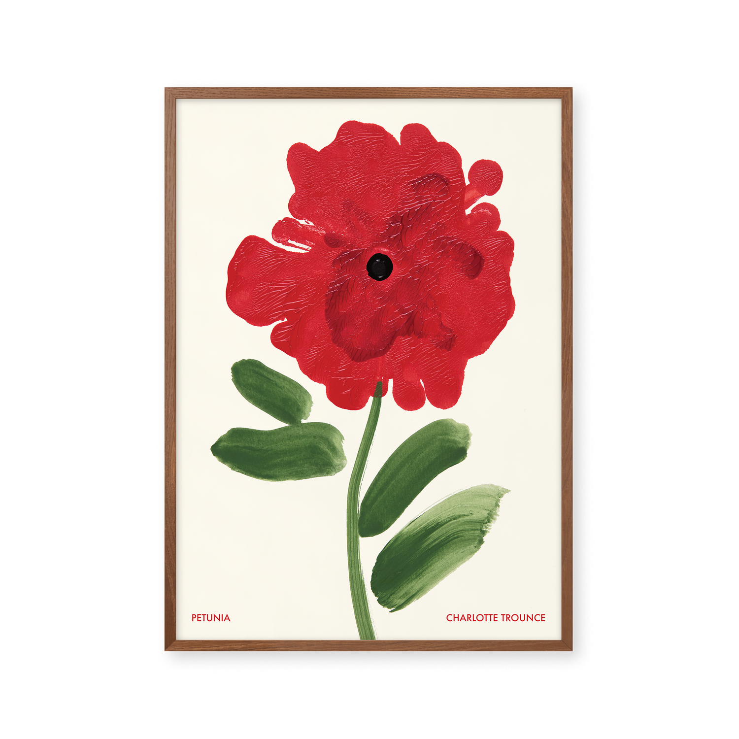 Petunia
