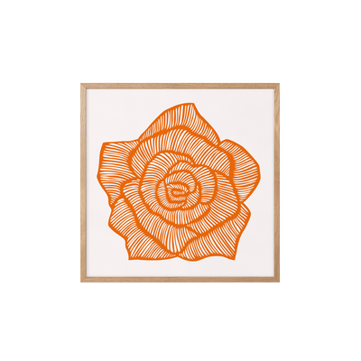 Rose – Orange