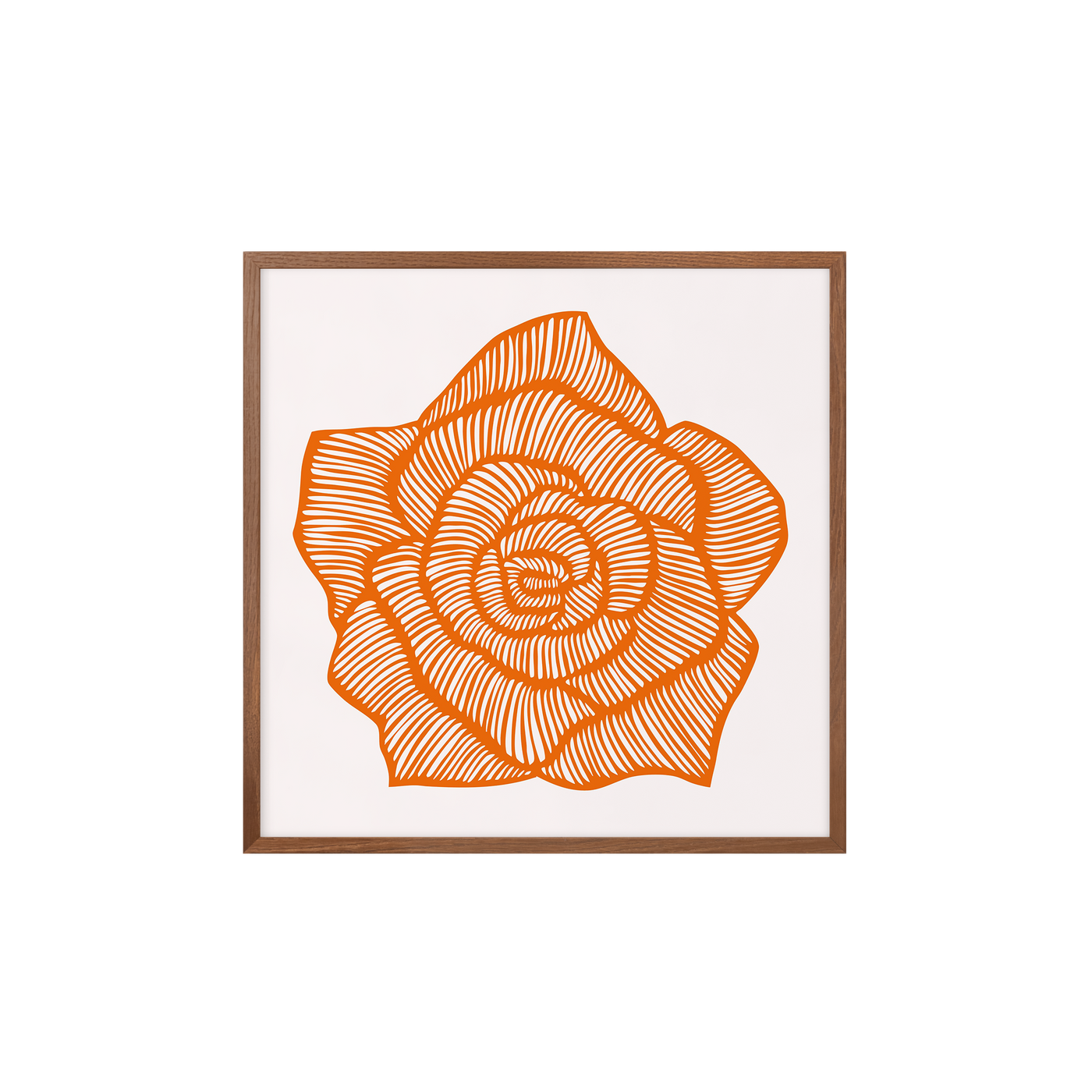 Rose – Orange