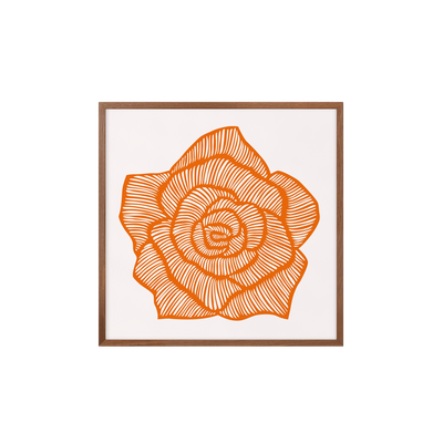 Rose – Orange