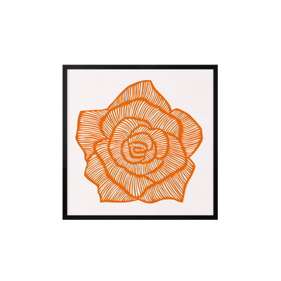 Rose – Orange