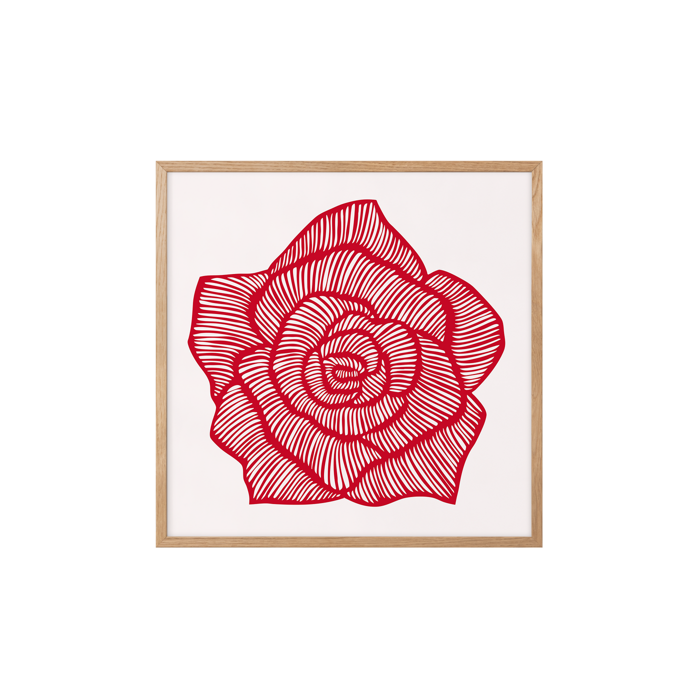 Rose – Red