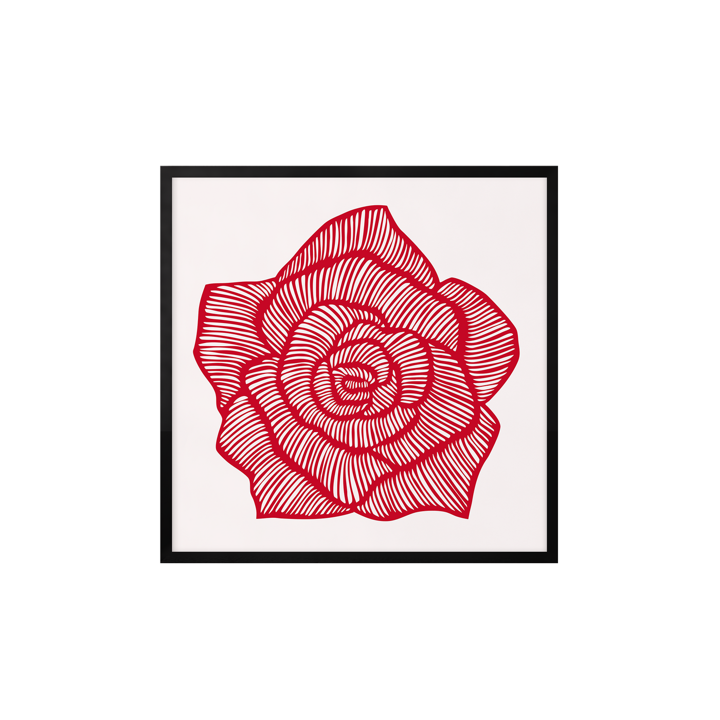 Rose – Red